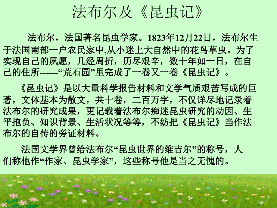 绿色蝈蝈课件_第3页