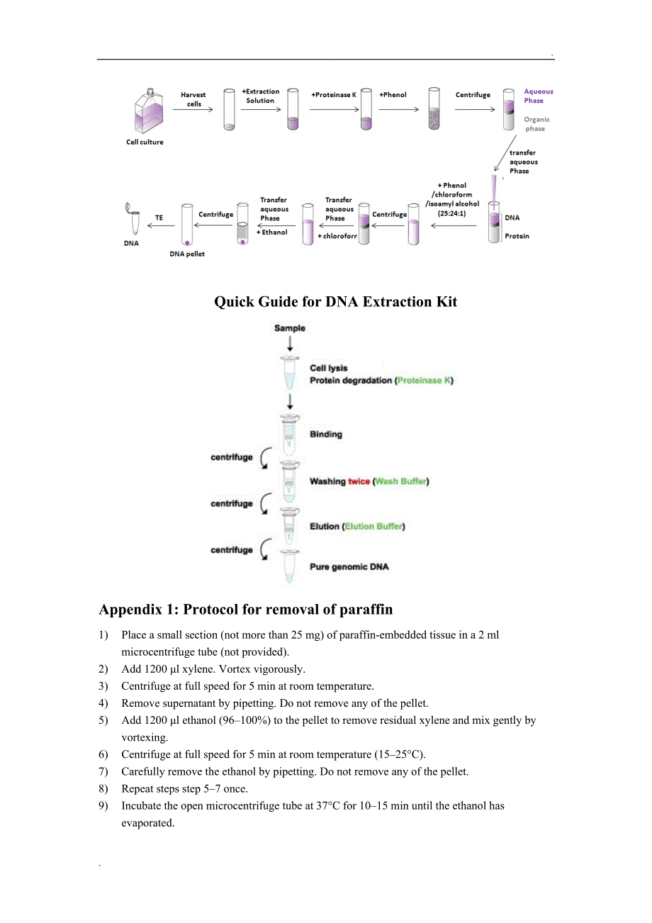 酚氯仿法提取DNA原理及方法_第3页