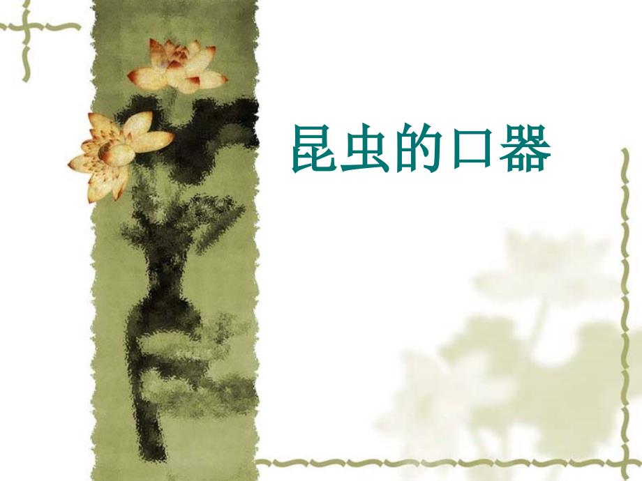 昆虫口器种类PPT课件_第1页