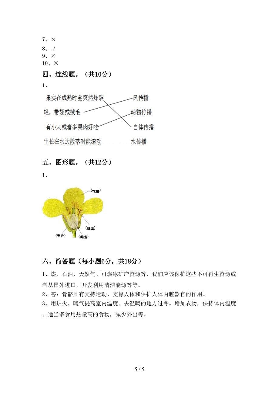 最新教科版四年级科学上册期中考试题(及参考答案).doc_第5页