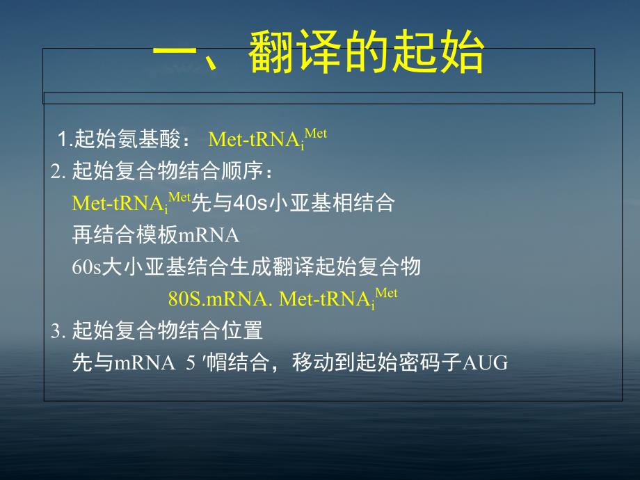 真核生物的翻译过程王2_第3页