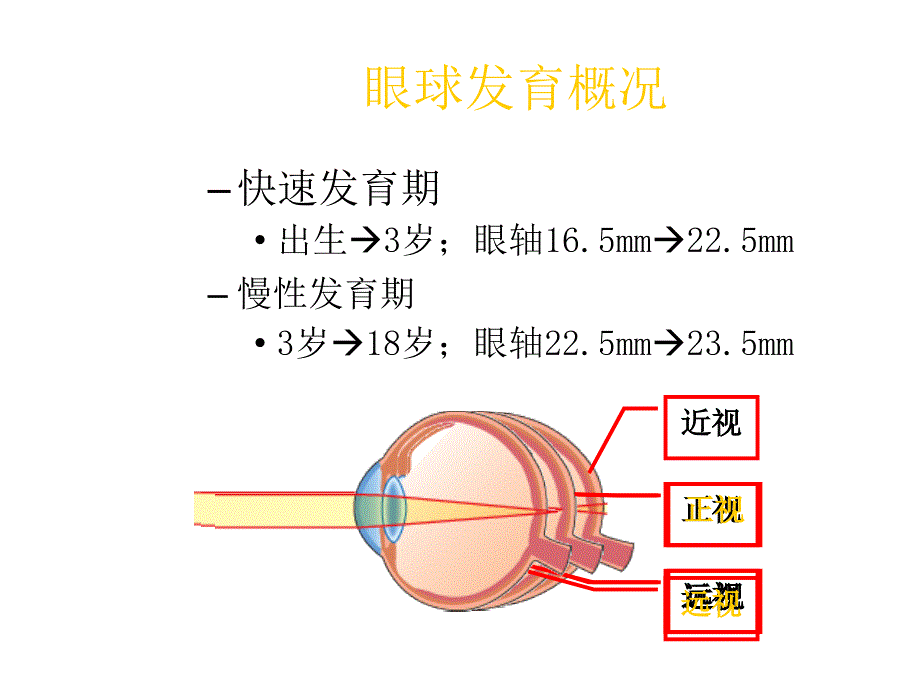 儿童屈光的特点与屈光不正的处理_第3页