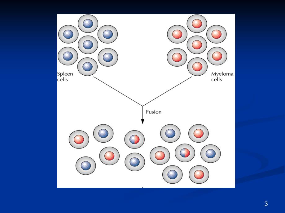 第六讲单克隆抗体制备技术_第3页
