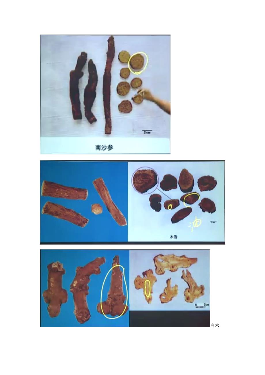 2023年执业药师药一中药药材图片.doc_第4页