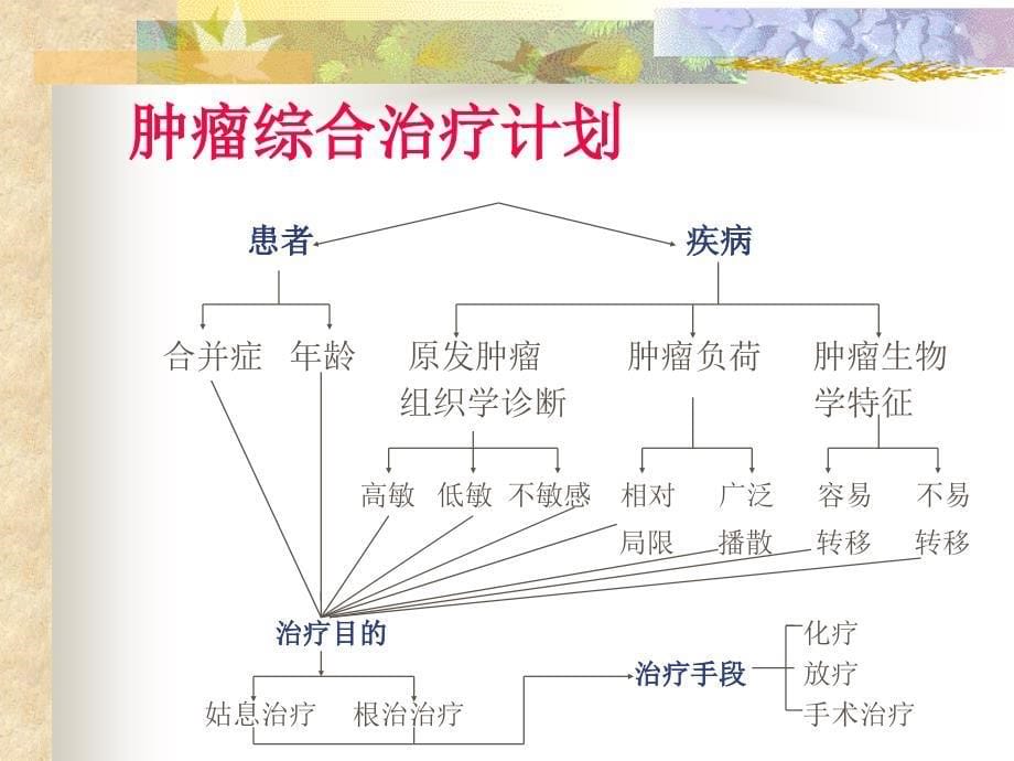 化疗毒副作用的防治_第5页