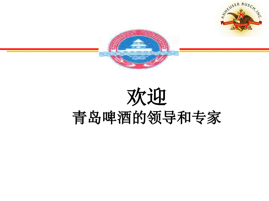 案例分析安盛百威企业文化分析报告课件_第1页