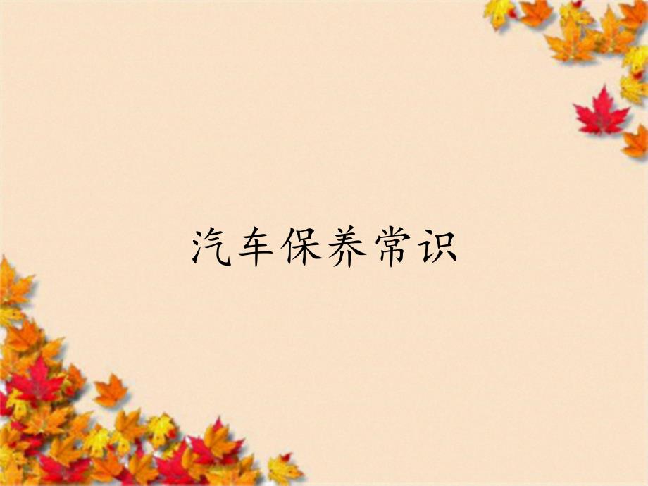 汽车保养常识_第1页