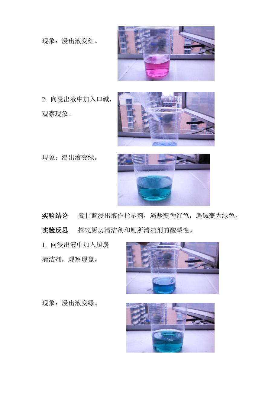 化学实验(自制酸碱指示剂)_第2页