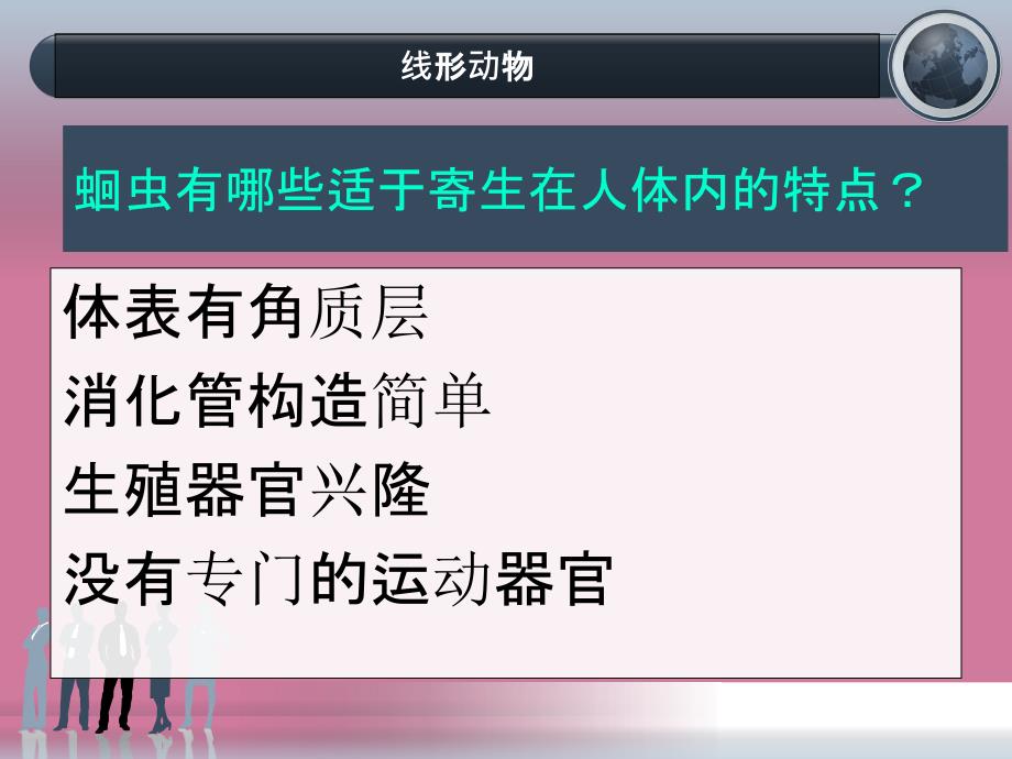 人教版生物八年上第一章第二节线形动物和环节动物ppt课件_第4页