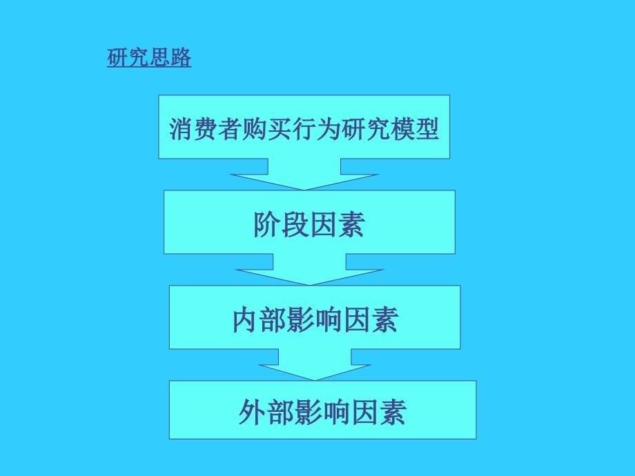 消费者行为研究模型_第5页