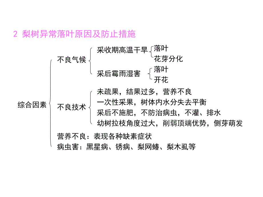 梨树开花的原因及病虫害防治_第2页