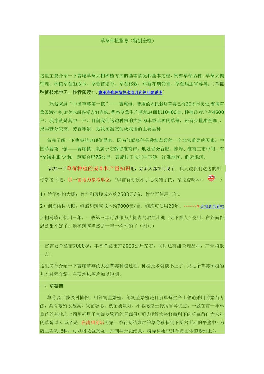 草莓种植指导(特别全喔) (2).doc_第1页
