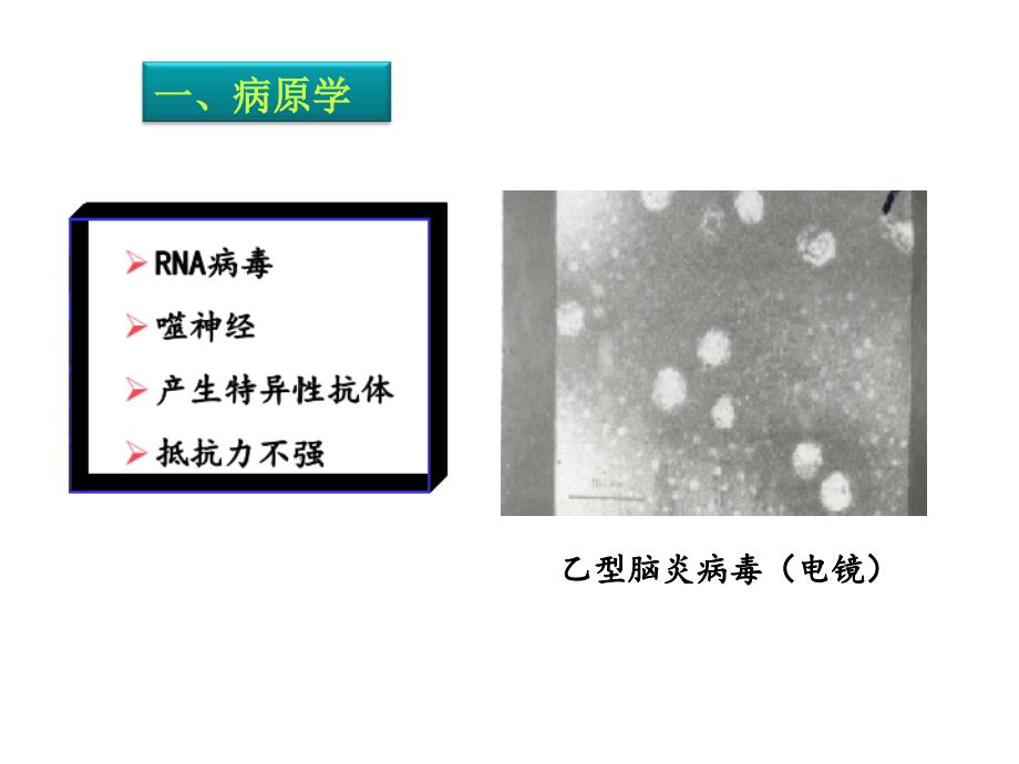 流行性乙型脑炎病人的护理版本课件_第4页