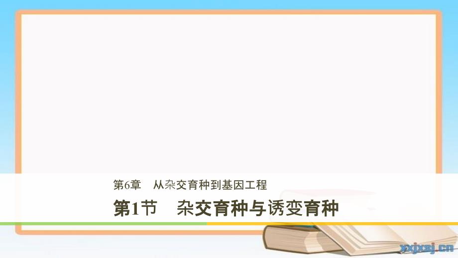 201x201x高中生物第六章从杂交育种到基因工程第1节杂交育种与诱变育种新人教版必修_第1页