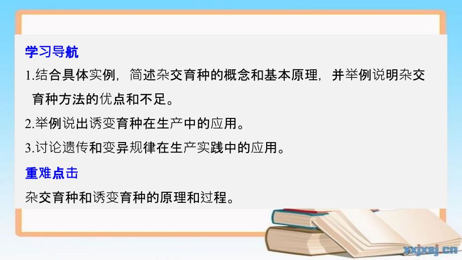 201x201x高中生物第六章从杂交育种到基因工程第1节杂交育种与诱变育种新人教版必修_第2页