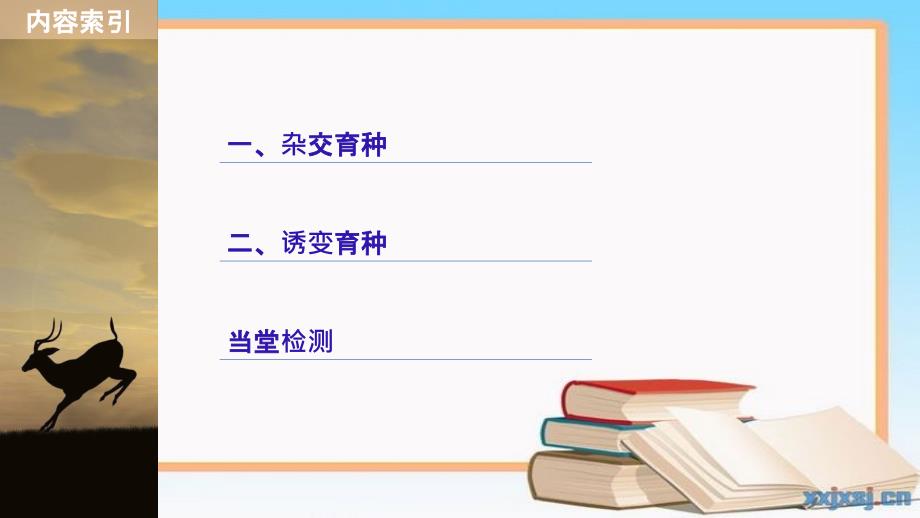 201x201x高中生物第六章从杂交育种到基因工程第1节杂交育种与诱变育种新人教版必修_第4页