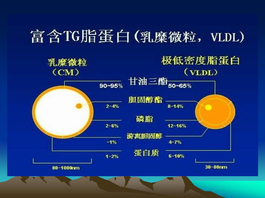 降低甘油三酯在冠心病防治中的地位与作用杨天和_第3页