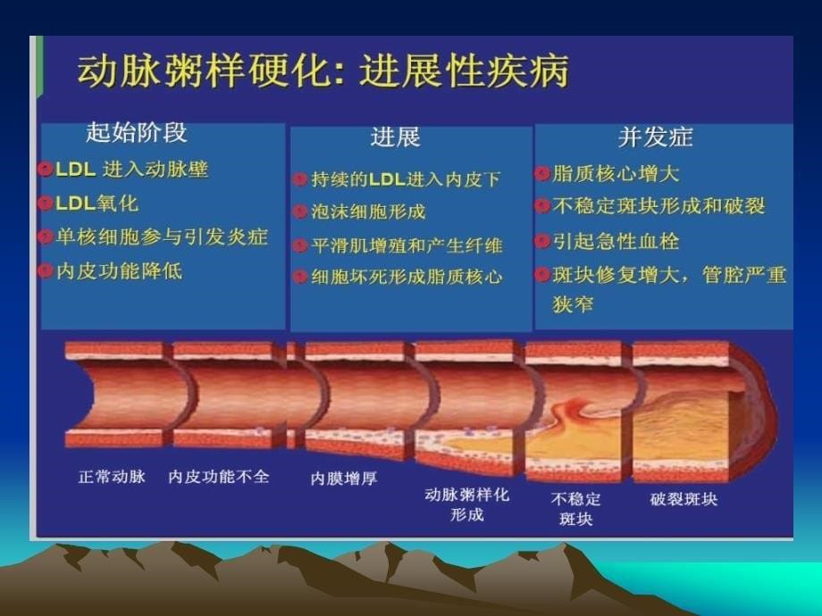 降低甘油三酯在冠心病防治中的地位与作用杨天和_第5页