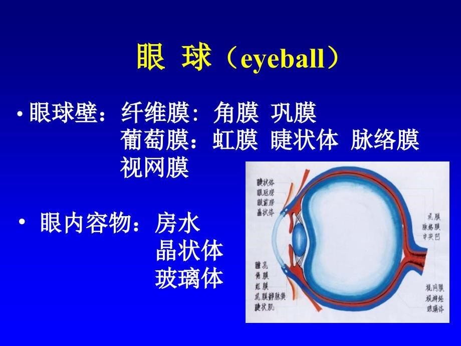 色素膜病PPT课件_第5页