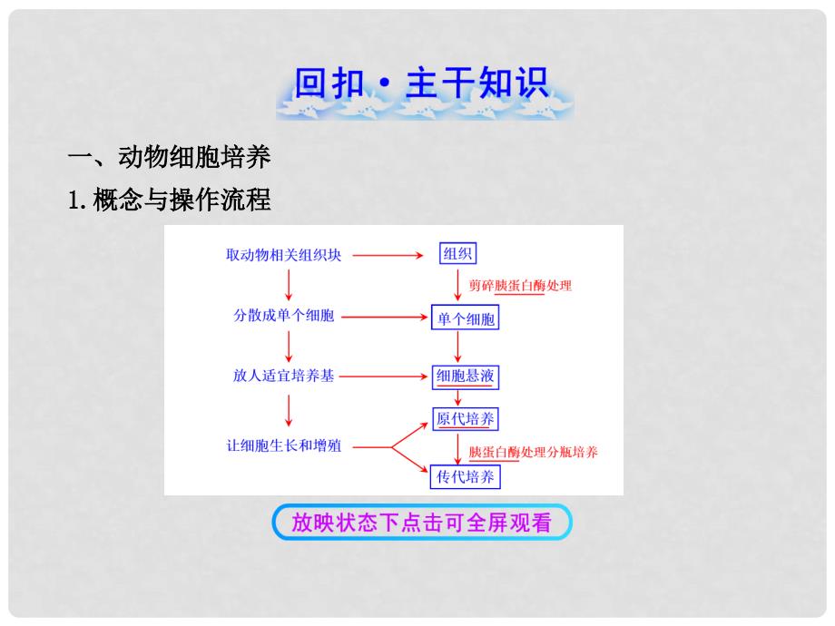 高中生物 2.2.2动物细胞工程配套课件 新人教版选修3_第2页