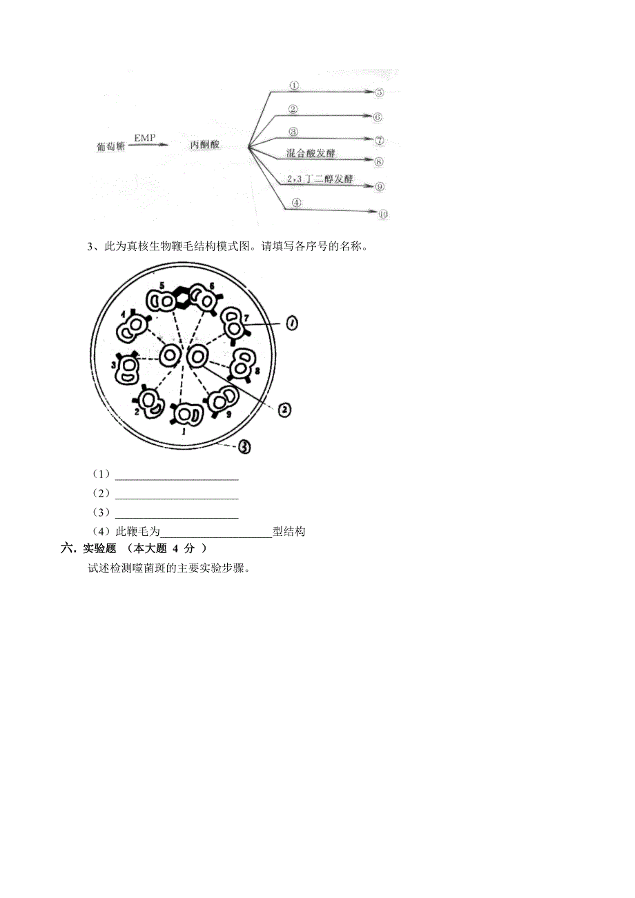 微生物学试卷测试题_第4页