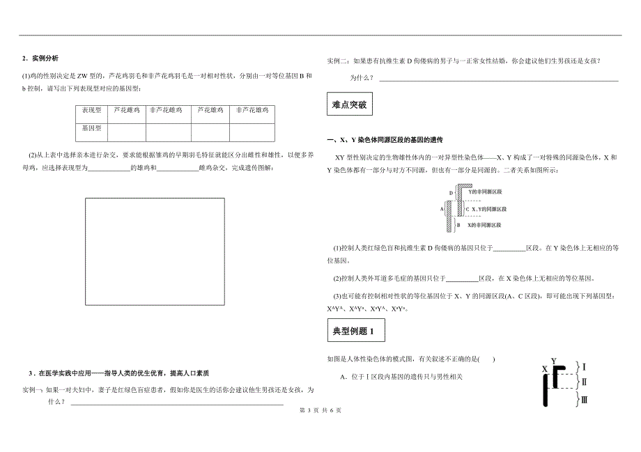 (完整版)伴性遗传学案.doc_第3页