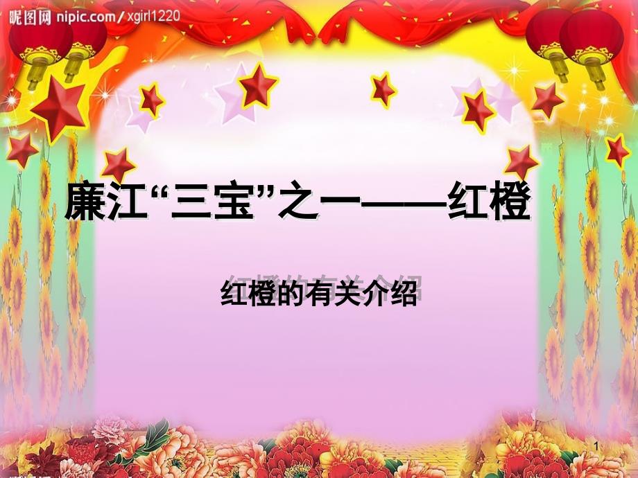 红橙之乡廉江课堂PPT_第1页