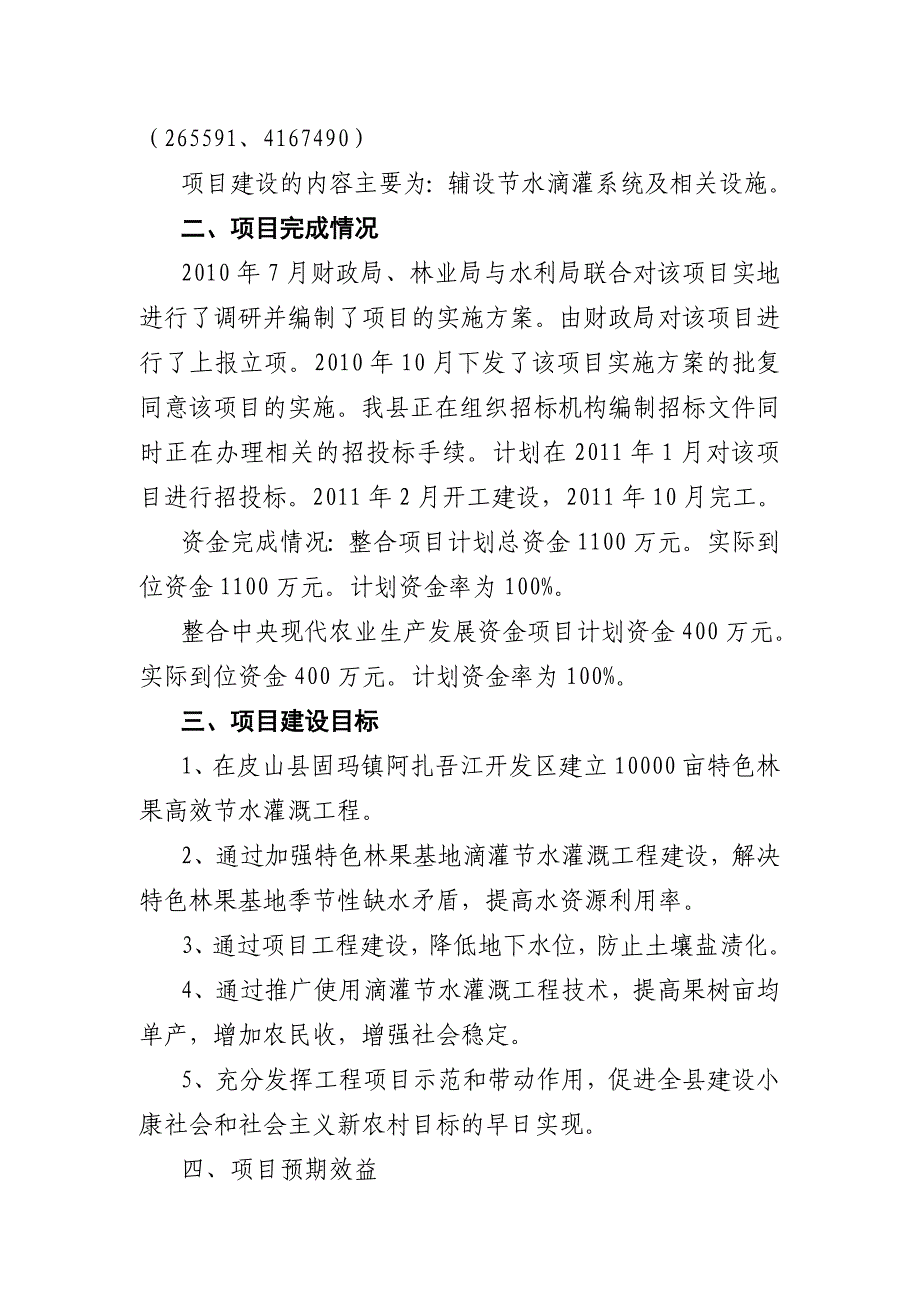 项目实施成效报告_第2页