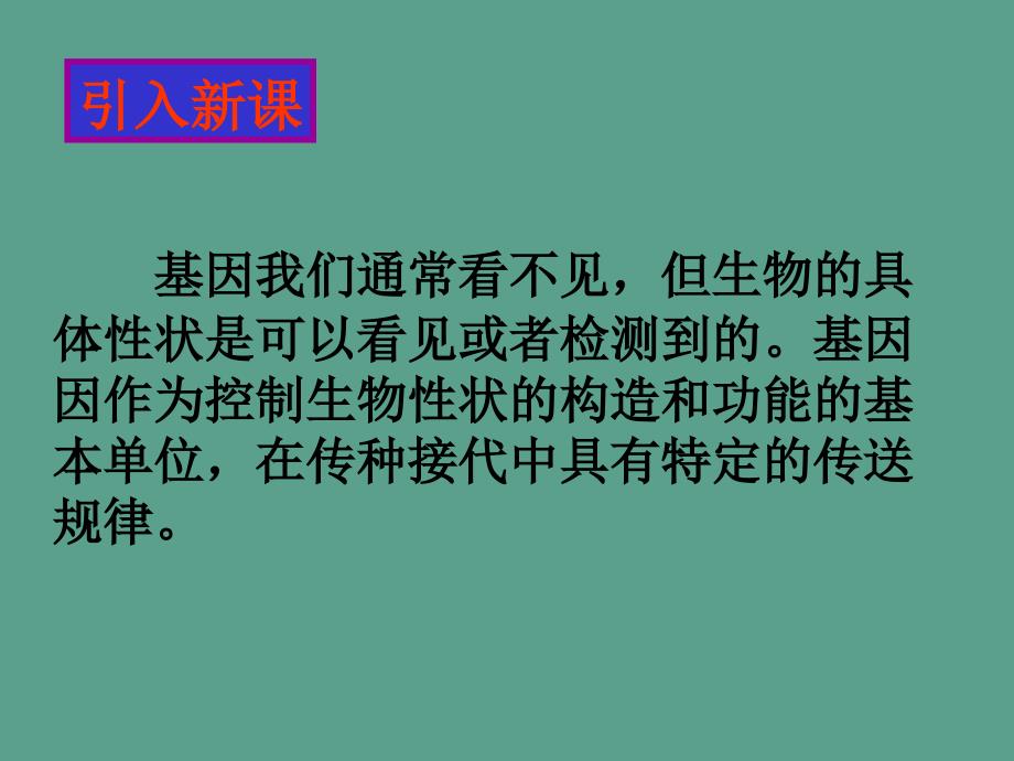 二遗传的基本规律ppt课件_第3页