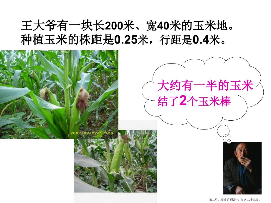 冀教版数学五上估算玉米的收入_第2页