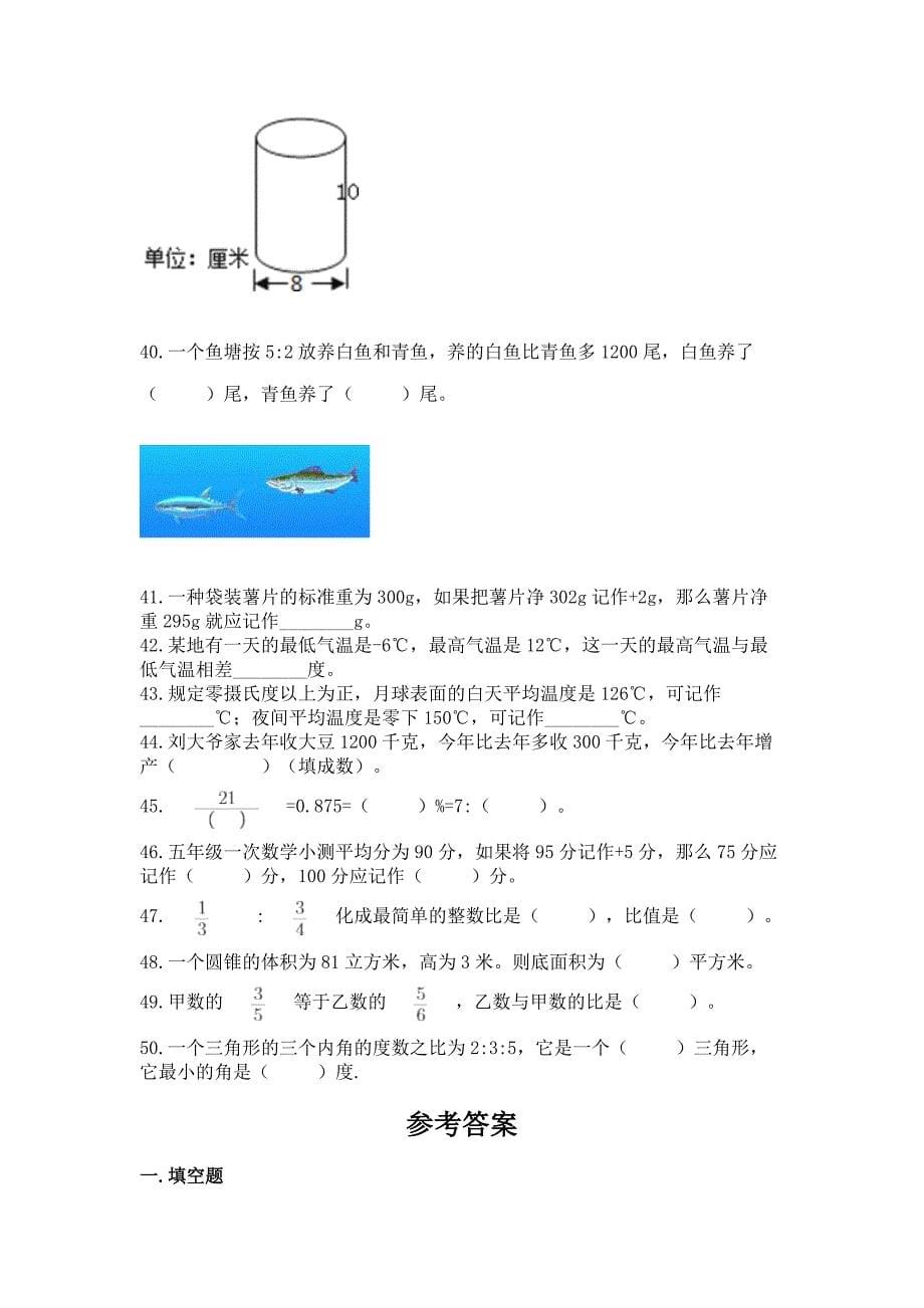 六年级下学期数学基础知识《填空题》专项练习附参考答案(B卷).docx_第5页