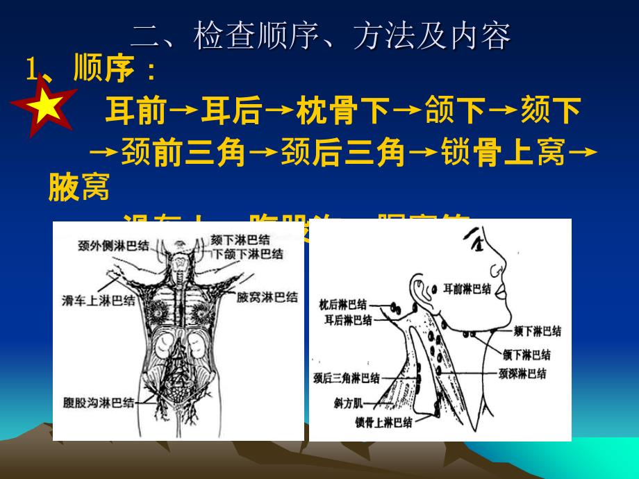 三节淋巴结ppt课件_第3页