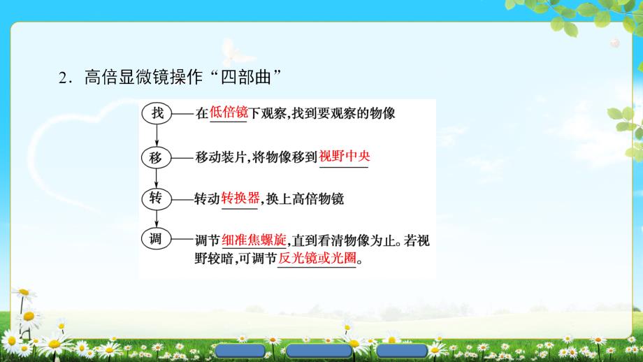 版高中生物人教版必修1课件： 第1章 第2节 细胞的多样性和统一性_第4页