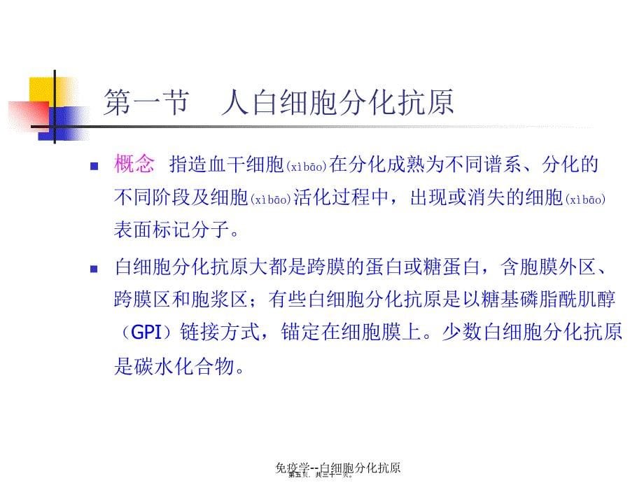 免疫学白细胞分化抗原课件_第5页