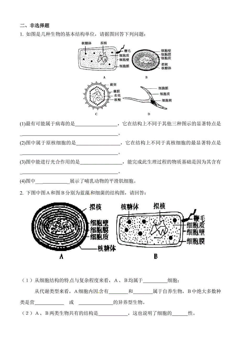 12细胞的统一性和多样性——同步练习【新教材】人教版（2019）高中生物必修一.docx_第3页