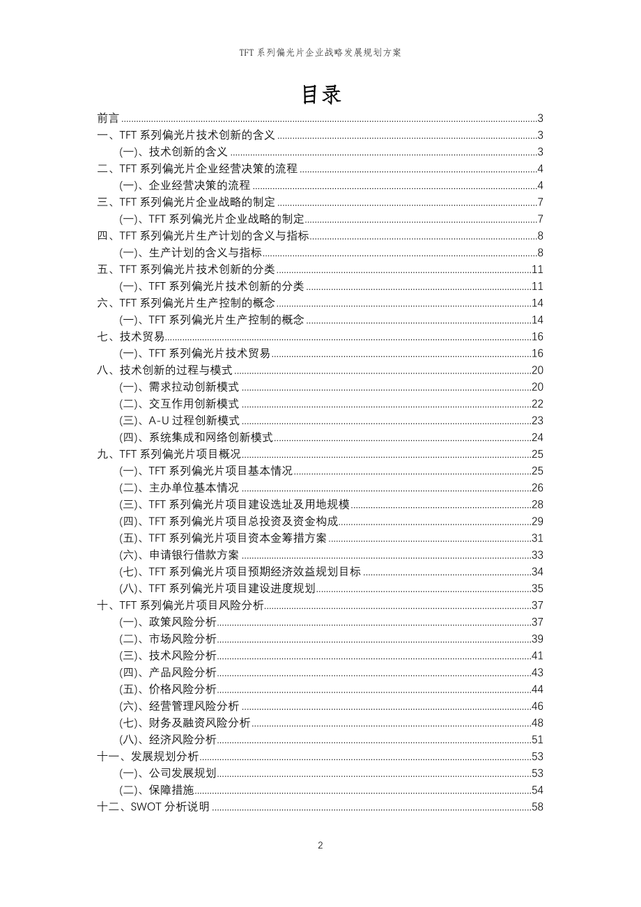 2023年TFT系列偏光片企业战略发展规划方案_第2页