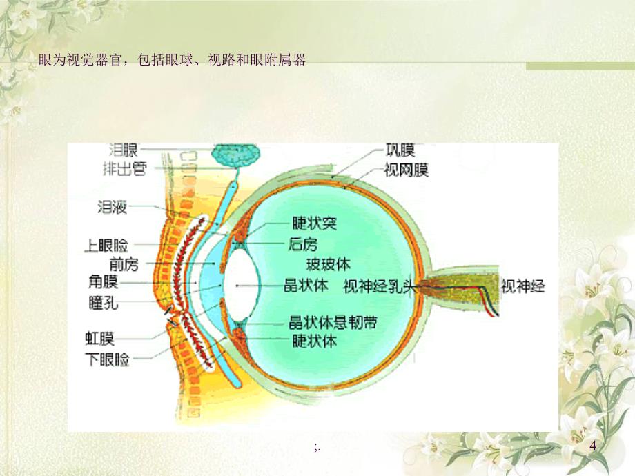 眼科护理学ppt课件_第4页