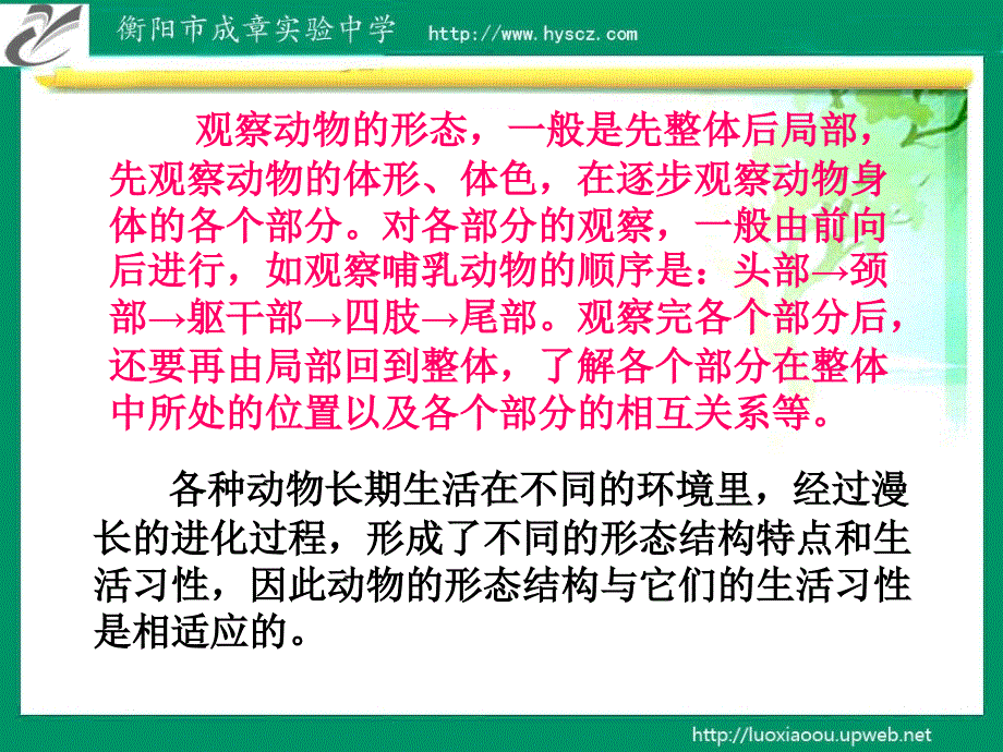 复习课件第三章多种多样的动物_第3页