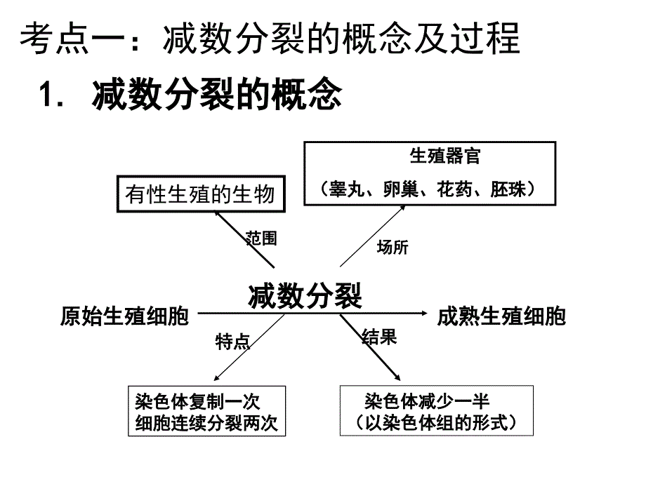 一轮复习-减数分裂_第3页