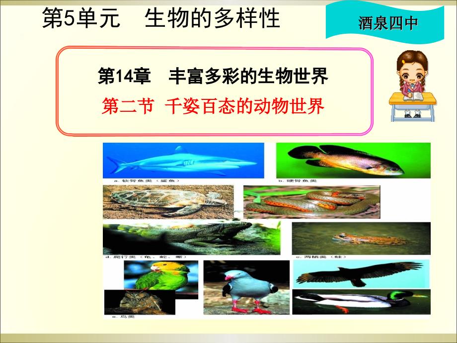 苏教版生物八上14.2千姿百态的动物世界课件2_第2页