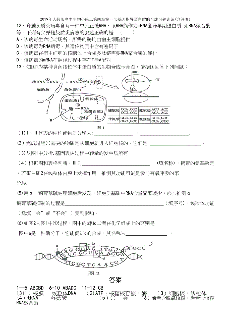 2019年人教版高中生物必修二第四章第一节基因指导蛋白质的合成习题训练(含答案).docx_第4页