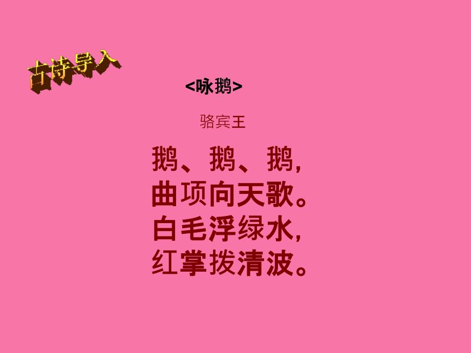 四年级上册语文13白鹅人教新课标ppt课件_第3页