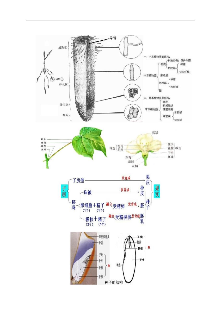 北京园林绿化中级职称大纲题库.doc_第4页