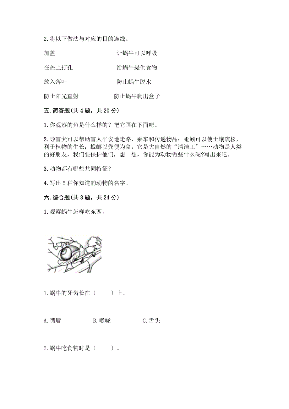 一年级下册科学期末测试卷精品(能力提升).docx_第3页