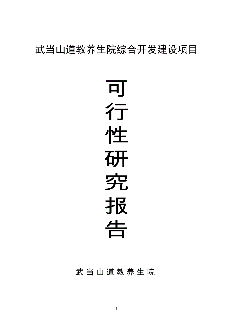 武当山道教养生院可行性研究报告.doc_第1页