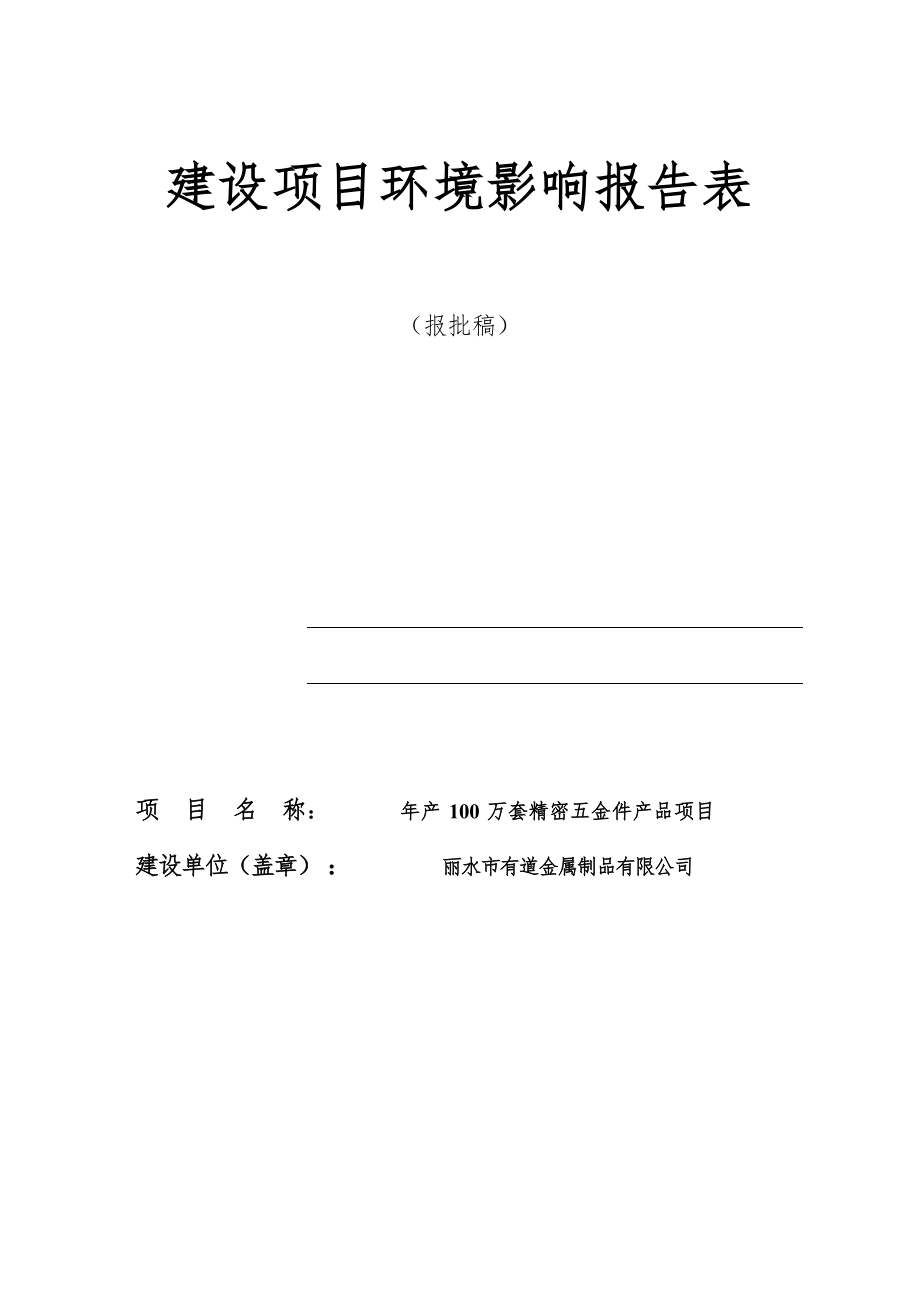 丽水市有道金属制品有限公司年产 100 万套精密五金件产品项目环境影响报告表.docx_第1页