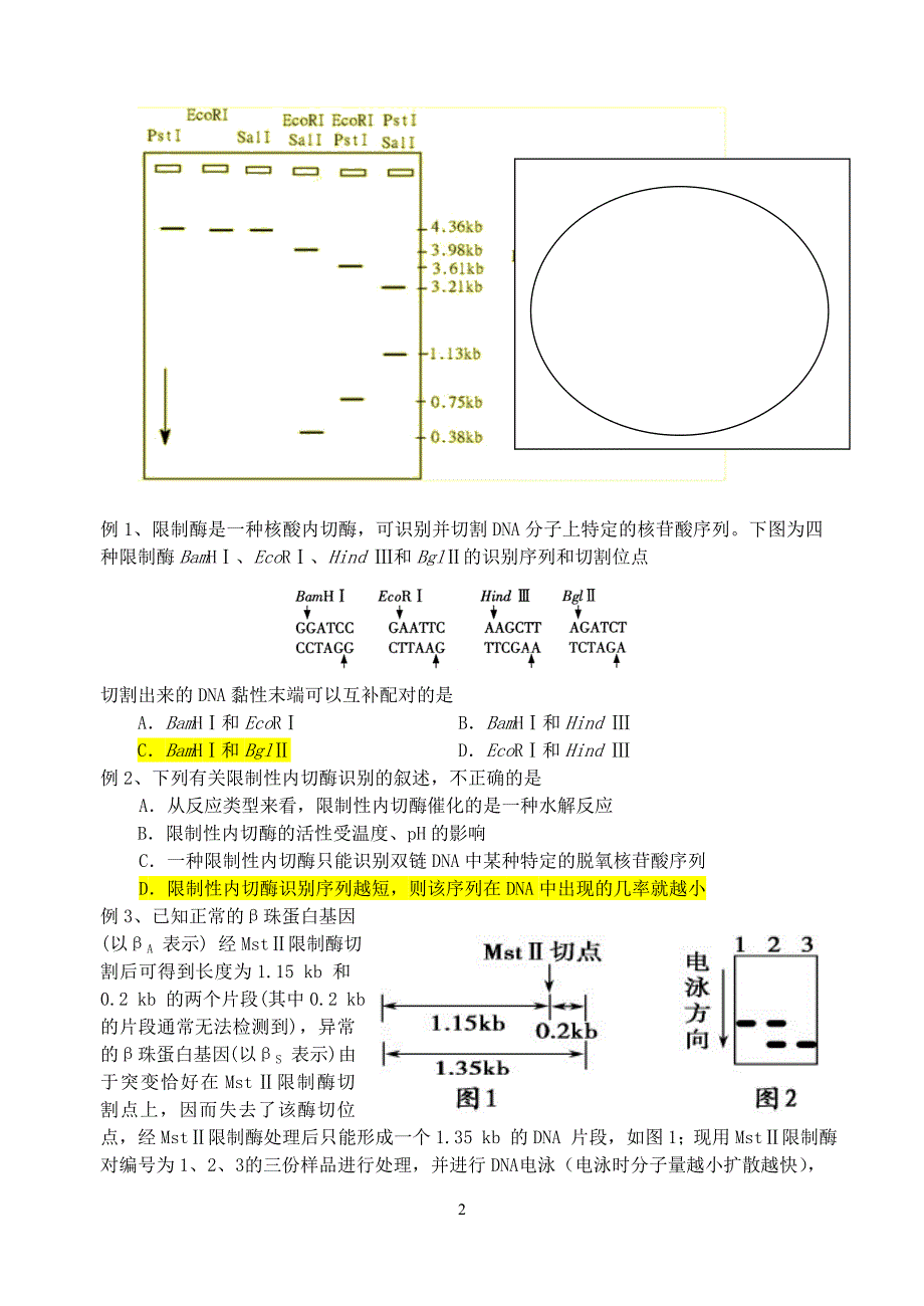 基因工程二轮229.doc_第2页