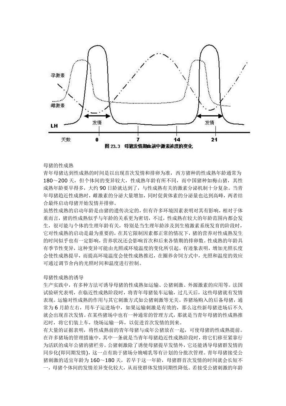 猪的繁殖基础.doc_第3页