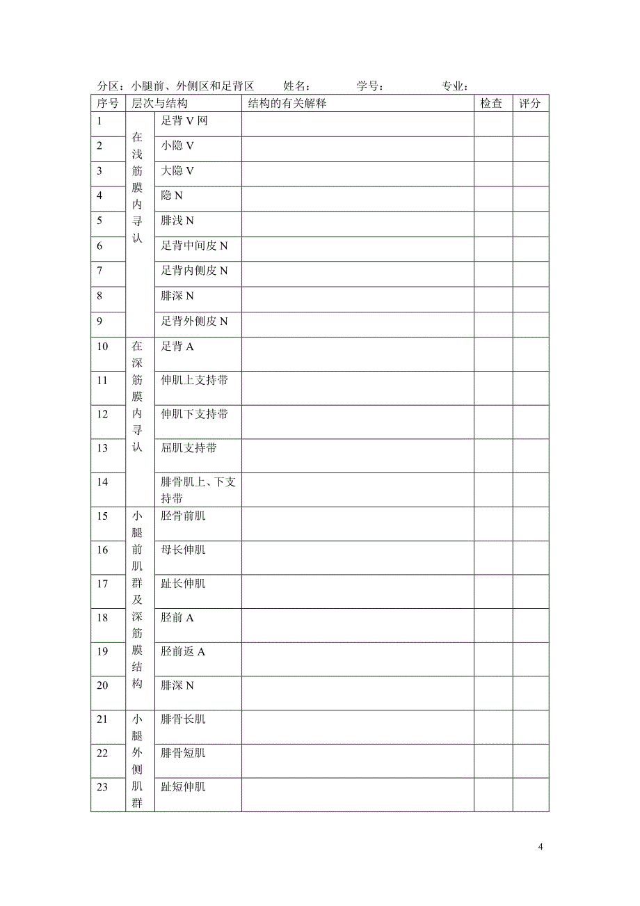 局部解剖分区.doc_第4页