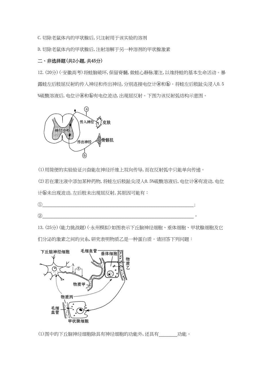 高考生物 专题辅导与训练五 第2讲动物生命活动的调节_第5页